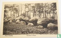 Mooi Drenthe Hunnebed te Borger