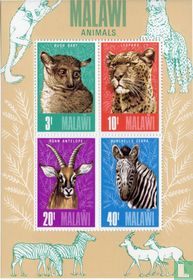 Animaux  