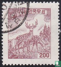 Cerf