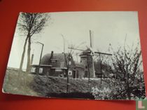 Stad aan 't Haringvliet, Molen