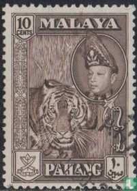Sultan Sir Abu Bakar with national motives