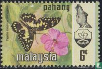 Papillons