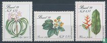 Fleurs et plantes acheter