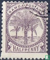 Kokospalmen