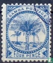 Kokospalmen