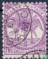 Kokospalmen