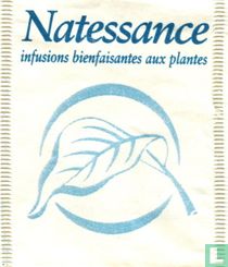 infusions bienfaisantes aux plantes