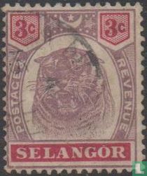 Tigerkopf