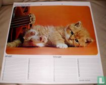 Birthday calendar