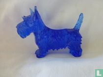 West Highland White Terrier