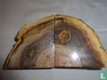 Petrified wood
