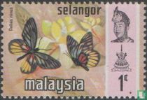 Papillons