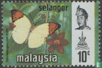 Papillons