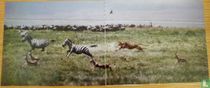 Chasse au lion
