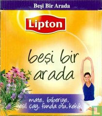 besi bir arada