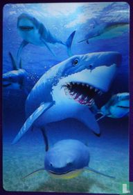 3D Haai Shark Requin Haie