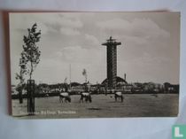  Diergaarde Blijdorp 