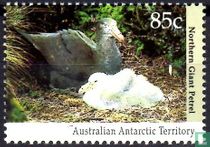 Animaux de l'Antarctique
