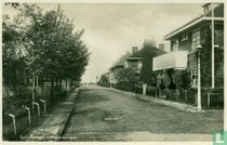 Schiebroek - Lindensingel