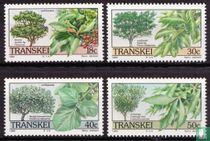 Indigenous Trees