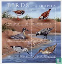 Oiseaux tropicaux