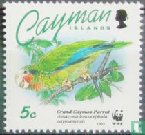 WWF-Cayman Amazon