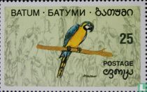 Oiseaux