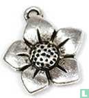 Blume 1