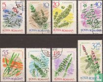 Les plantes aquatiques