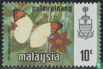 Papillons