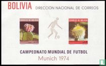 Cacti - Soccer World Cup