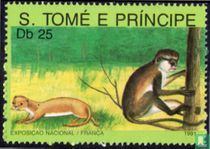 fauna