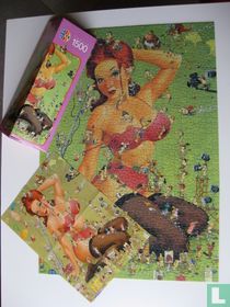 Pin up girl