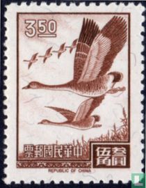 Wild geese in flight