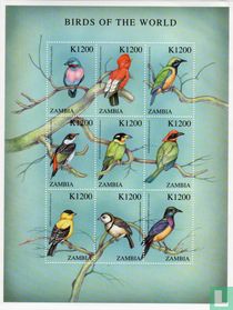 Oiseaux du monde