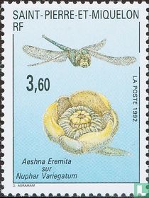 Libelle und Teichrosen kaufen