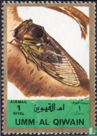 Insects