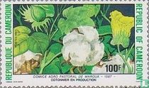 Association agricole