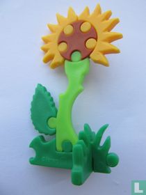 Tournesol