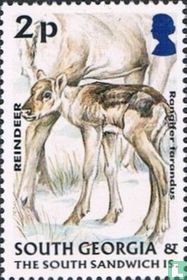 Faune juvénile