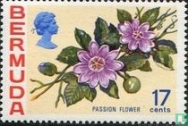 Fleurs