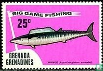 Big game fishing
