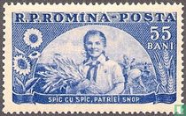 Young Pioneers