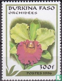 Orchids