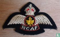 RCAF NATO Pilot