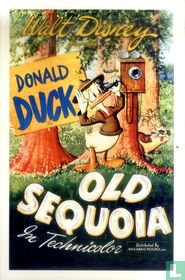 Old Sequoia