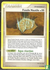 Fossile Nautile