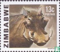 Warthog