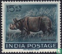 Nashorn kaufen