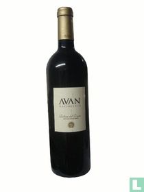 Avan Nacimiento